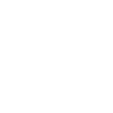 Beed